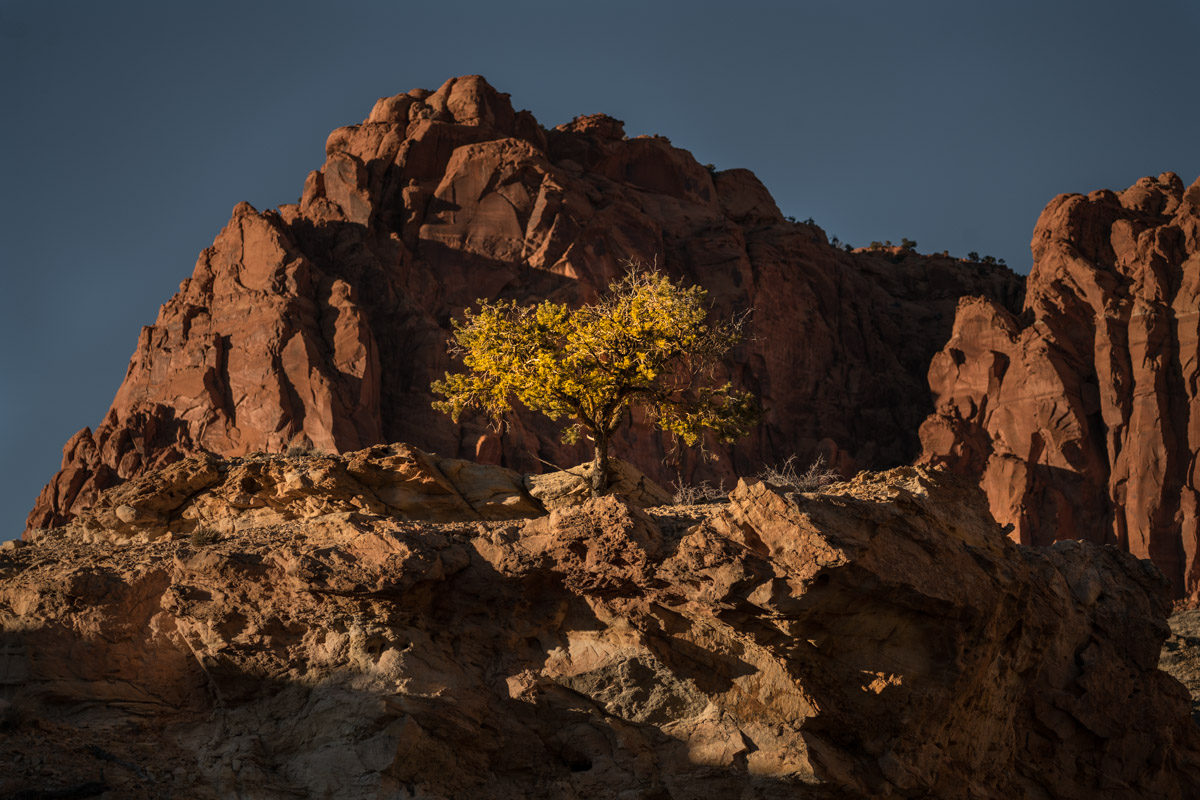 Capitol Reef.2x3
